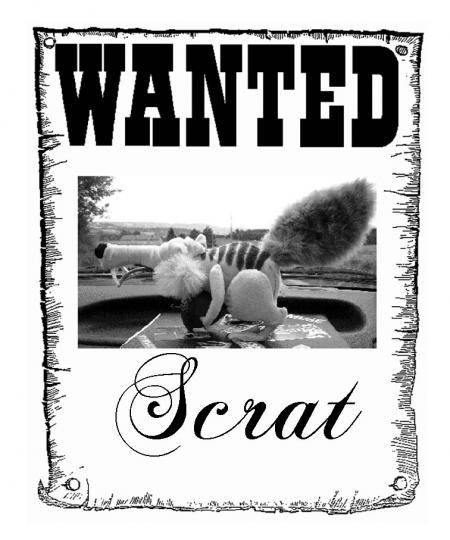 Wanted !!!!!  we miss you !... article à venir