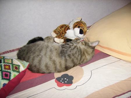 Bb cHAt tooo